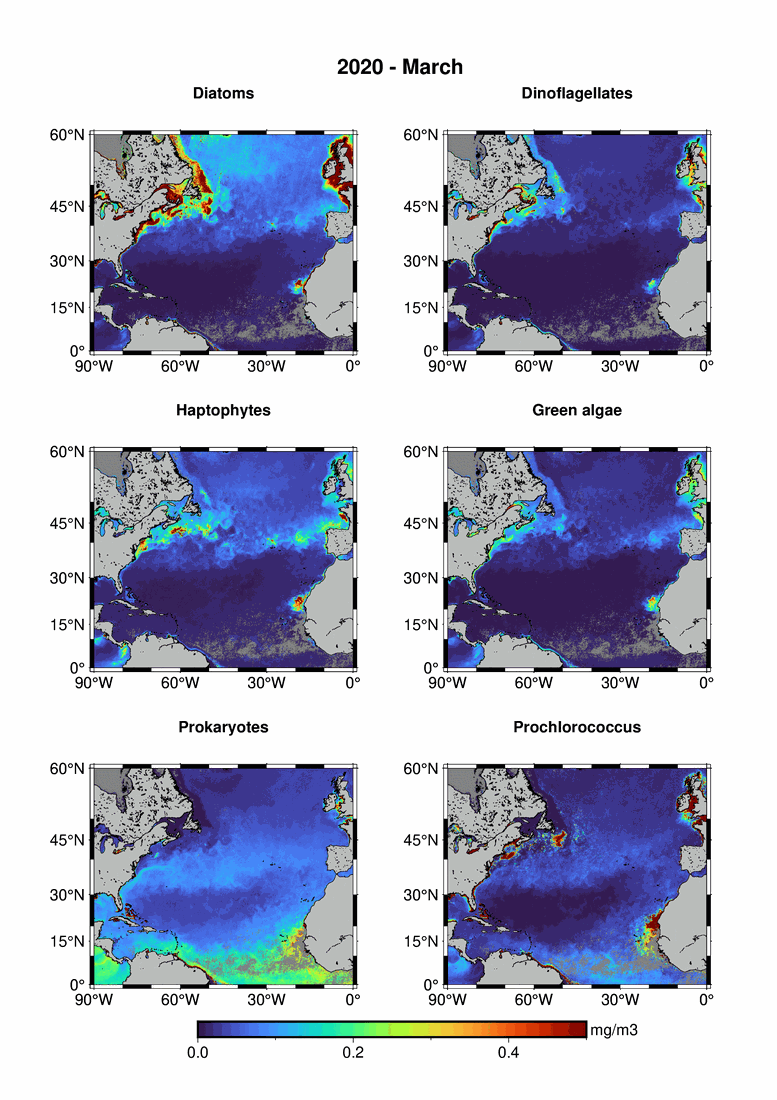 Animated remote-sensing view of phytoplankton functional types.